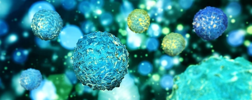 The Potential Link Between CoQ10 and Endocrine Health