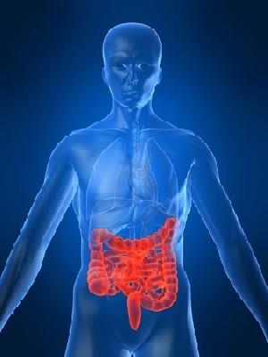 Inflammation the Gut and Mood Disorders