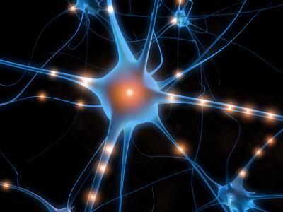 Peripheral Neuropathy: Causes Symptomatology and Natural Solutions