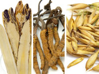 The Adaptogen Advantage