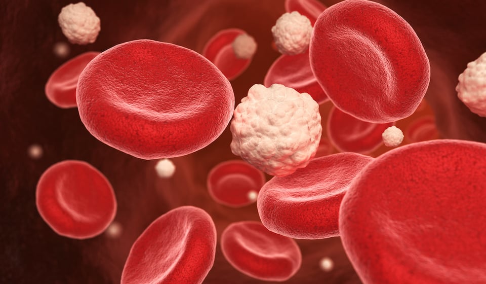Systematic Review and Meta-Analysis Investigates Tocotrienol Supplementation and Blood Sugar Balance