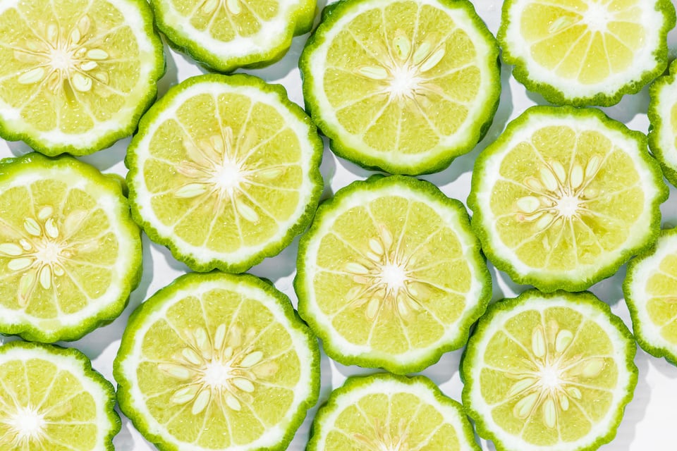 Recent Study Explores Potential Role of Nutraceuticals in Supporting Healthy Cholesterol Metabolism