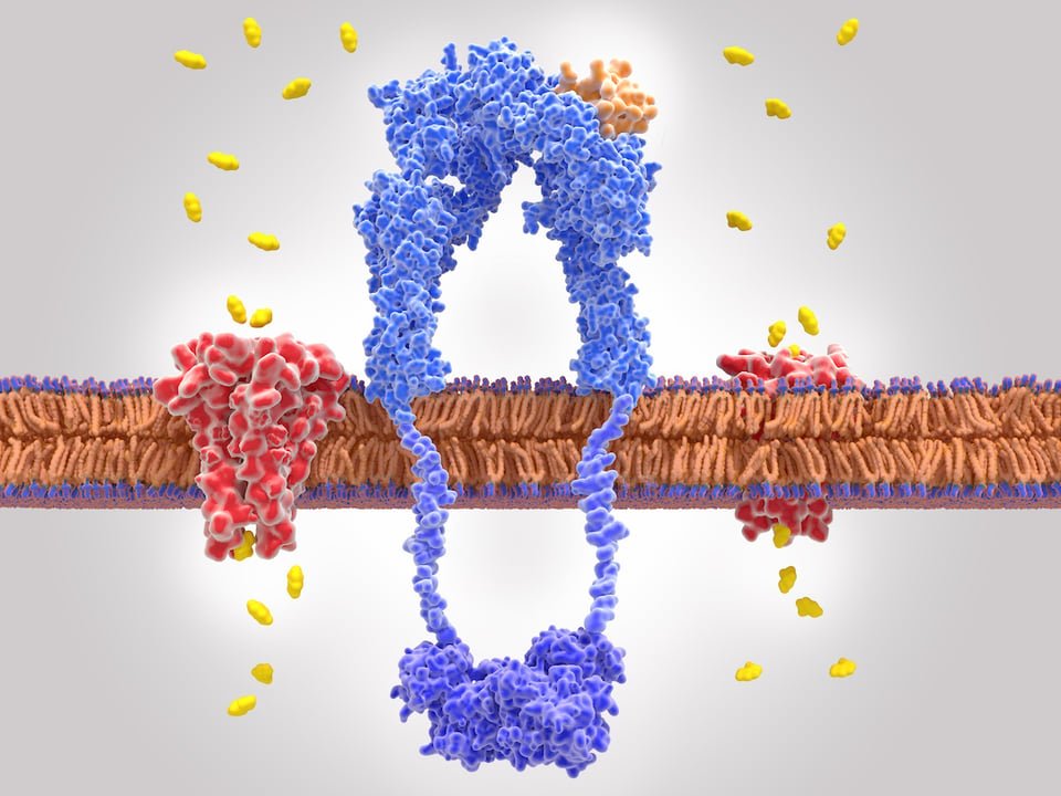 Recent Systematic Review Explores Relationship Between Selenium and Blood Sugar Metabolism