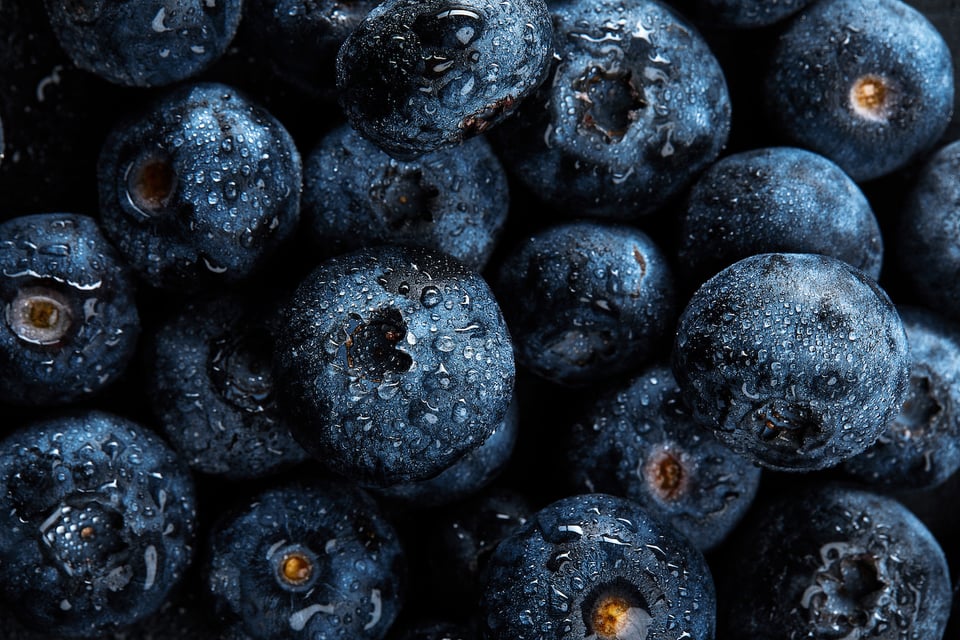 Recent Review Investigates Potential Link Between Quercetin and Neurodegenerative Health