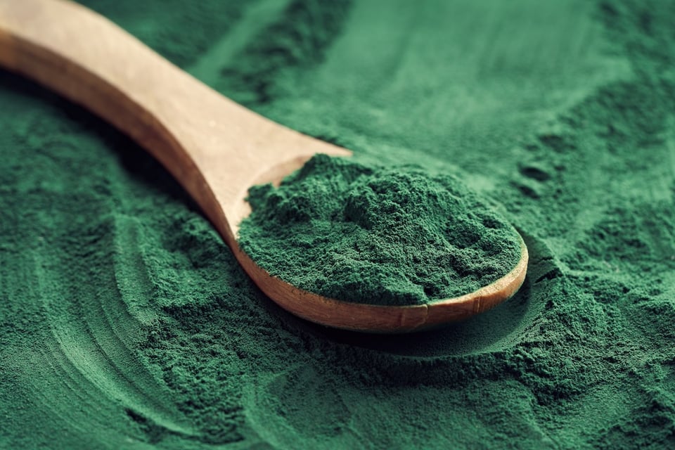 Phyto-Fuel: The Role of Phytochemicals in Supporting Antioxidant Status and Metabolic Health