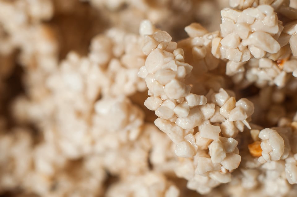 The Latest on Zeolite and Detoxification