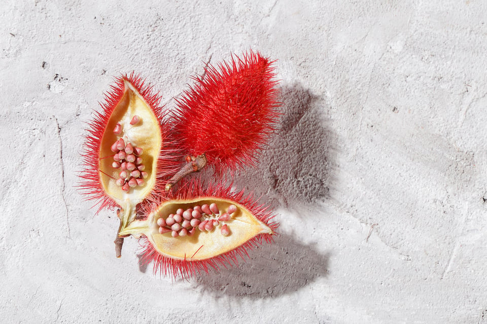 Vitamin E Tocotrienols, Metabolic Health, and Healthy Aging