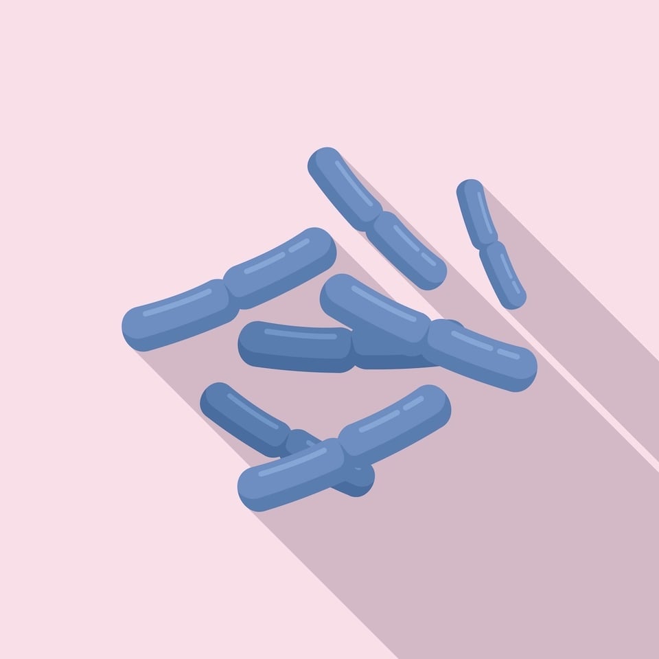 Recent Review Investigates Potential Link Between Cardiovascular Health, Inflammation, and the Gut Microbiome