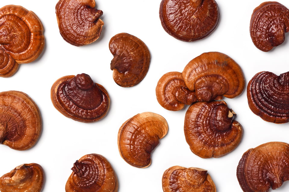 The Latest on Medicinal Mushrooms and Immune Health