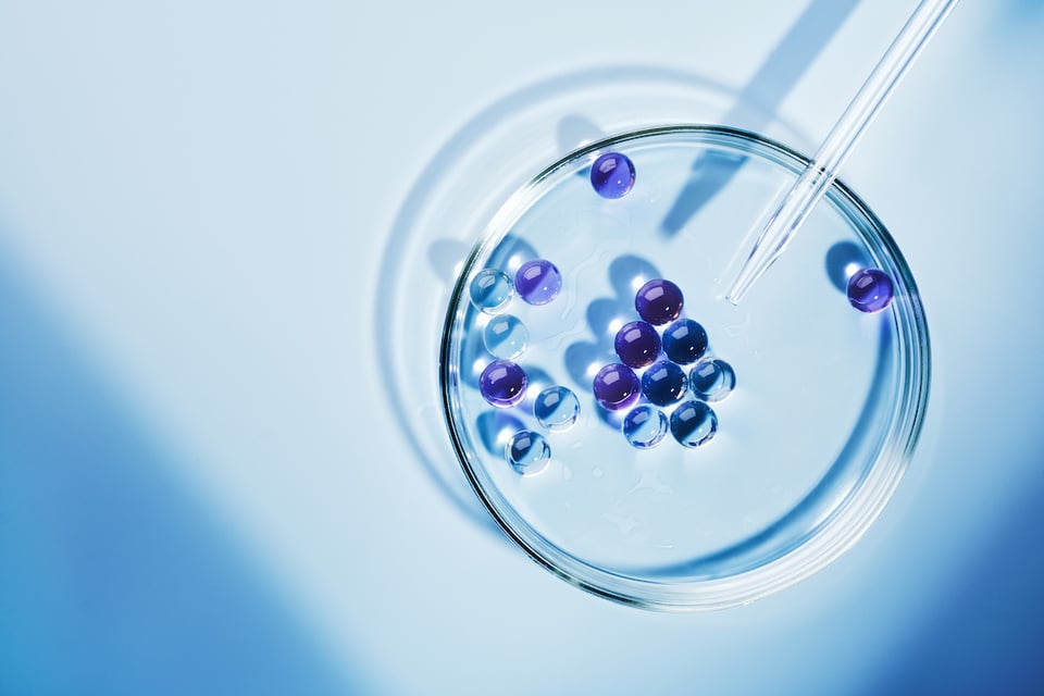 Cardiovascular Health and the Gut Microbiome: Is there a Link?