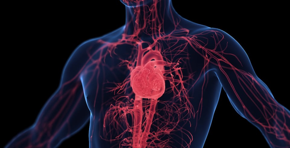Recent Randomized Controlled Trial Investigated Potential Link Between Selenium, CoQ10, and Cardiovascular Health