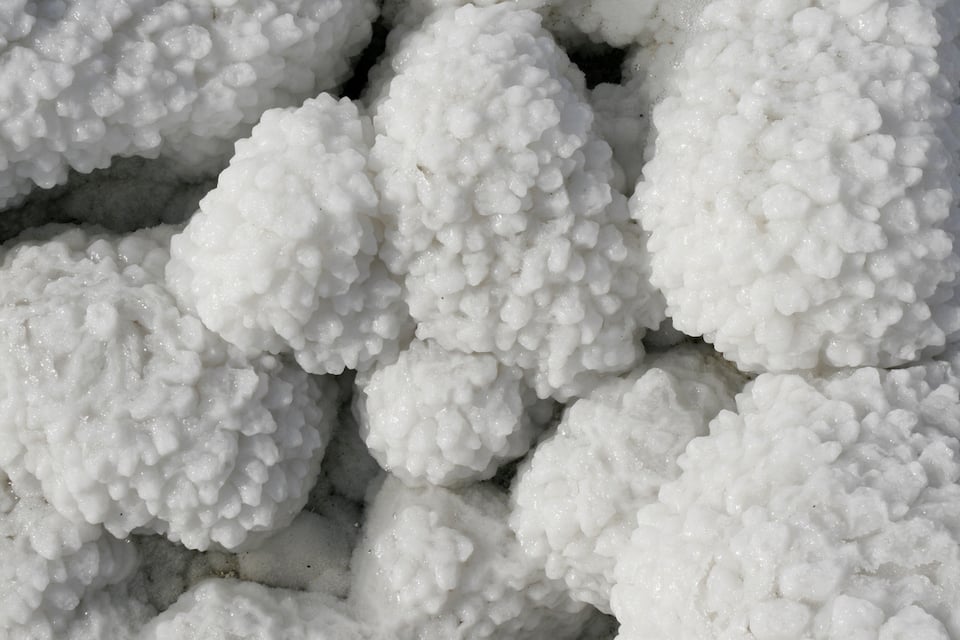 Is There a Link Between Magnesium Status and Healthy Cognition?