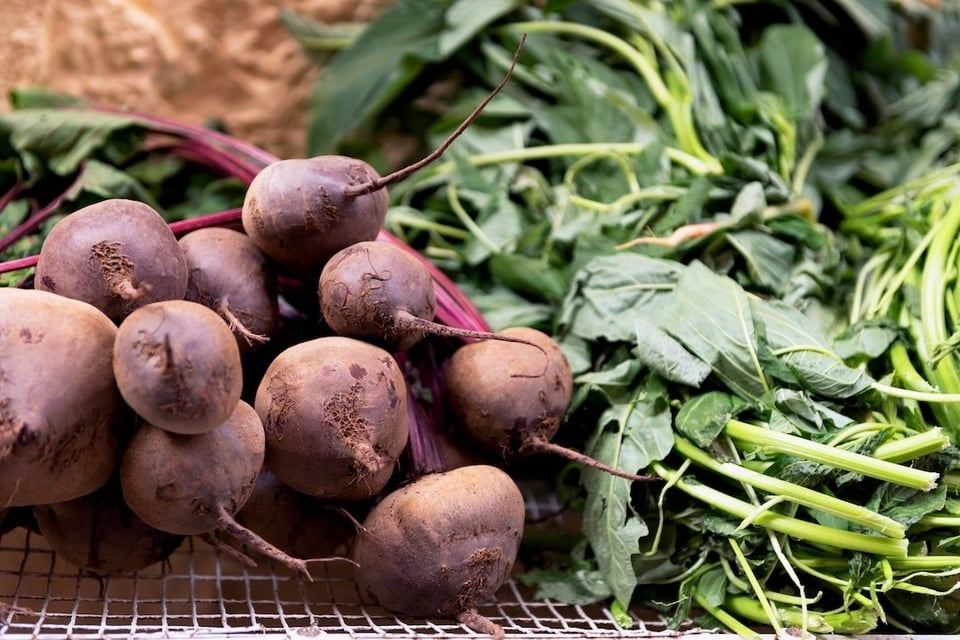 What Are Oxalates, and Should You Avoid Them?