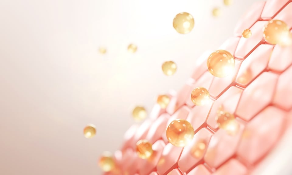 An Update on the Science of Skin: PeptiYouth™