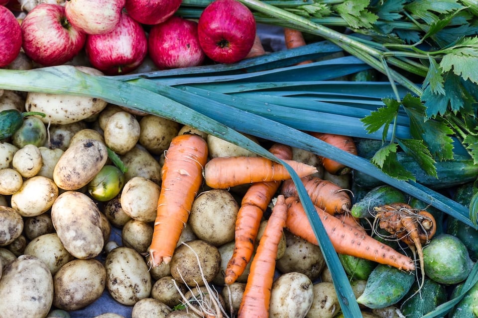 Nutrient Gaps: 5 Things to Do and Avoid in 2025